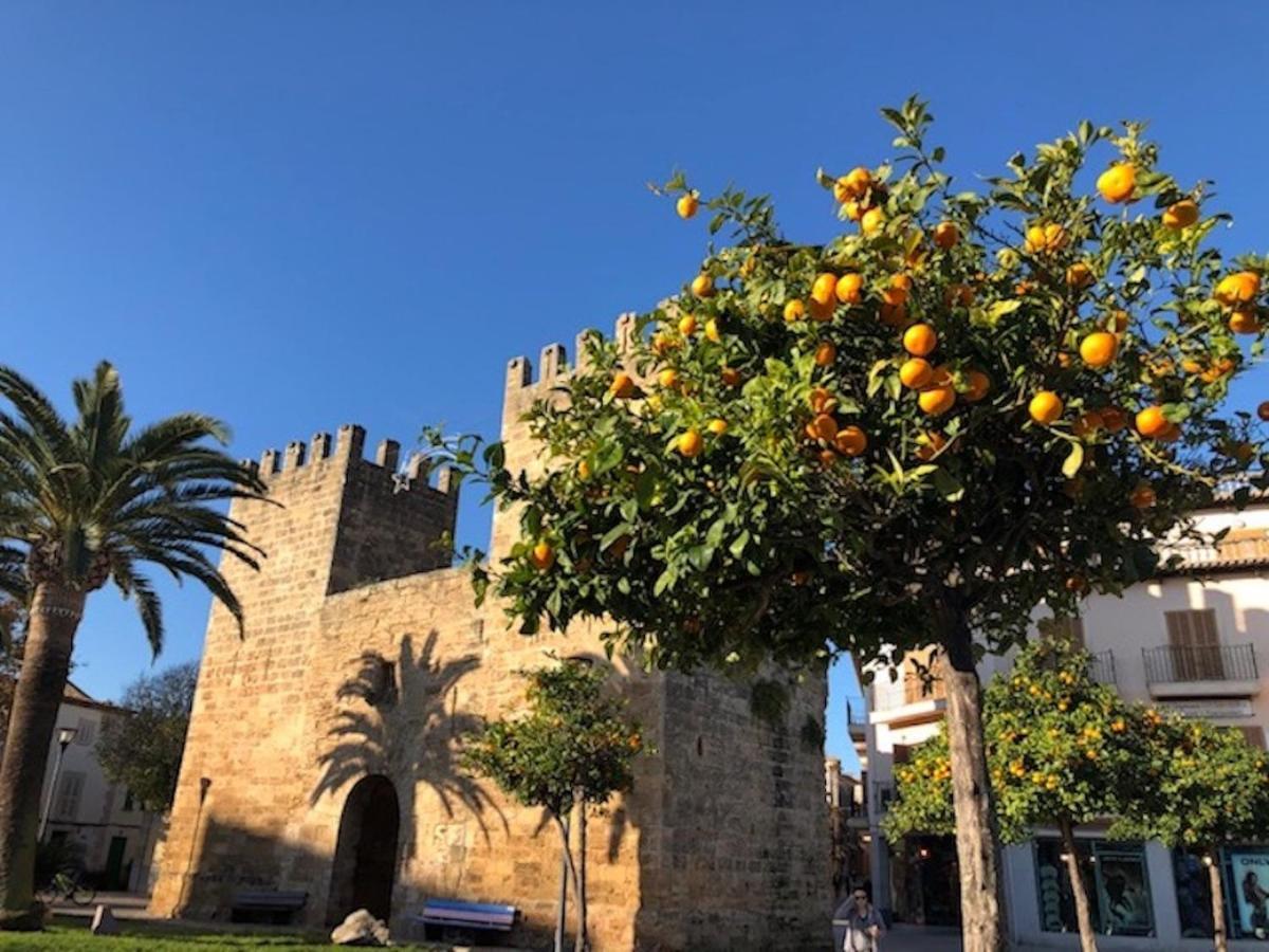 Artist'S House,En El Centro Historico De Alcudia 호텔 외부 사진